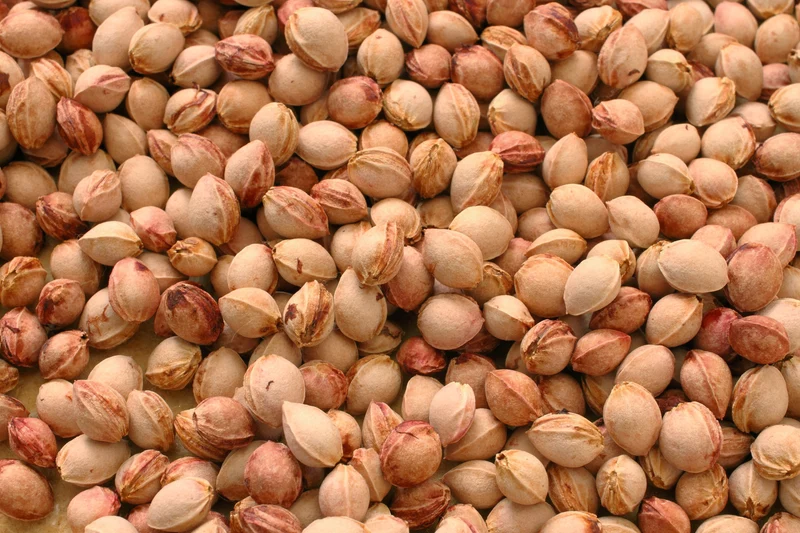 Kirschkerne in Premium-Qualität, 10 kg