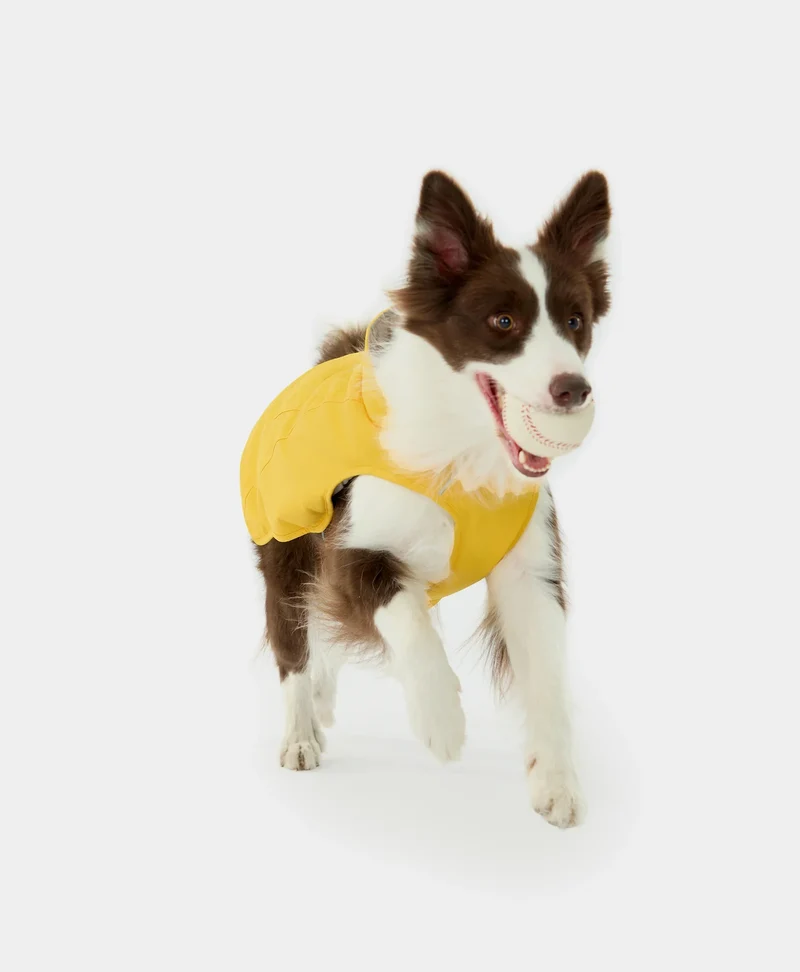 Koldpwoof Beheizte Hundeweste