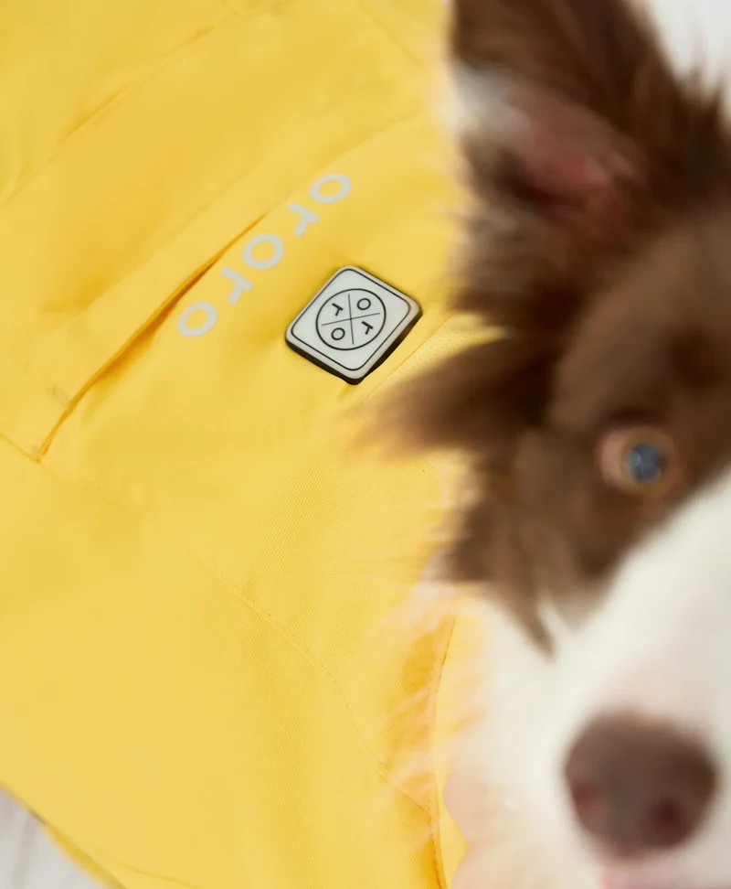 Koldpwoof Beheizte Hundeweste