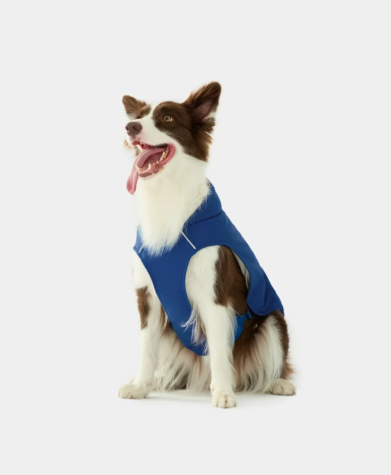 Koldpwoof Beheizte Hundeweste