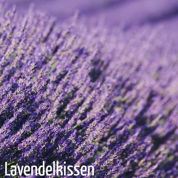 Lavendelblüten, 100 g