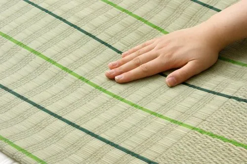 Ikehiko Corporation Hazuki Single Green Bed Pad 88X180Cm #7418959