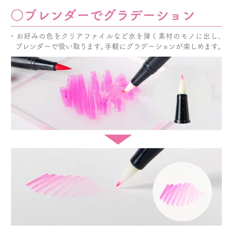 Tombow Dual Brush Pen Set Of 12 Pastel Colors - Japan