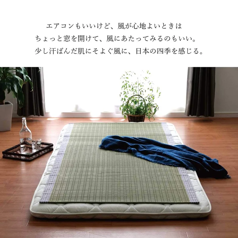 Ikehiko Corporation Gray Hiba Processing Rug Rush Sheets 88X180Cm #6508009