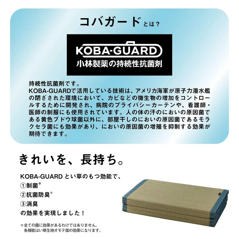 Ikehiko Rush Clear Mat 80X180Cm Antibacterial Deodorizing Japan #7559379