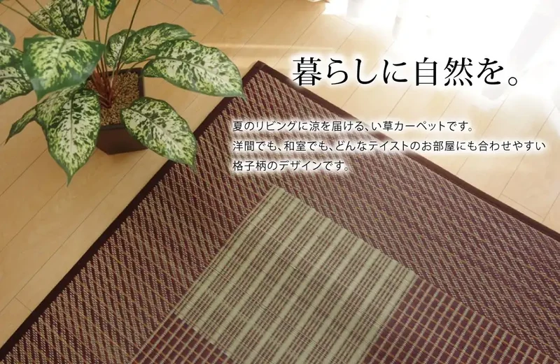 Ikehiko Corporation Japan Rug Carpet Rush Tatami Mat Square F Light Blue Simple