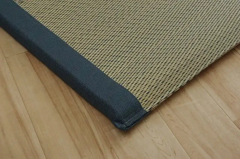 Ikehiko Corp Japan Igusa Sheets Bed Pad Noah Raku Raku Single Blue