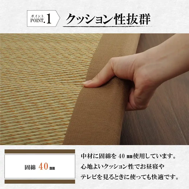 Ikehiko Corp Japan Igusa Sheets Bed Pad Noah Raku Raku Single Blue