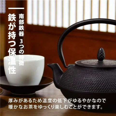 Nambu Tekki Teapot 0.4L - Black Black Made In Japan Enameled Inside Tea Strainer Traditional Crafts Japanese Tea Pot Souvenir - Ren Of Japan