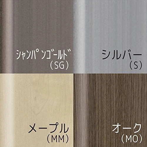 Refex Rmm-1Sg 30X60Cm Champagne Gold Magnet Mirror -