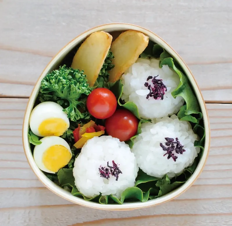 Ruozhao Magewappa Omusubi-Shaped Small Lunch Box Fh15 From Japan