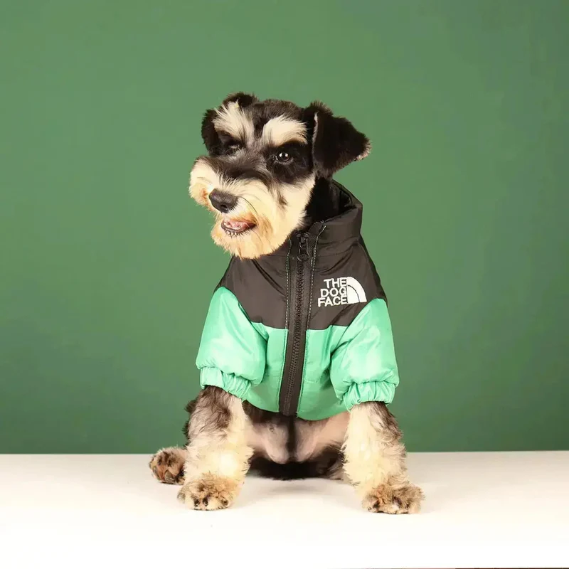 Hunde-Winterjacke | Gefüttert und Winddicht
