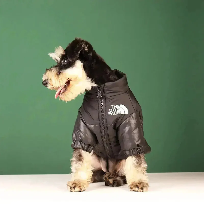 Hunde-Winterjacke | Gefüttert und Winddicht