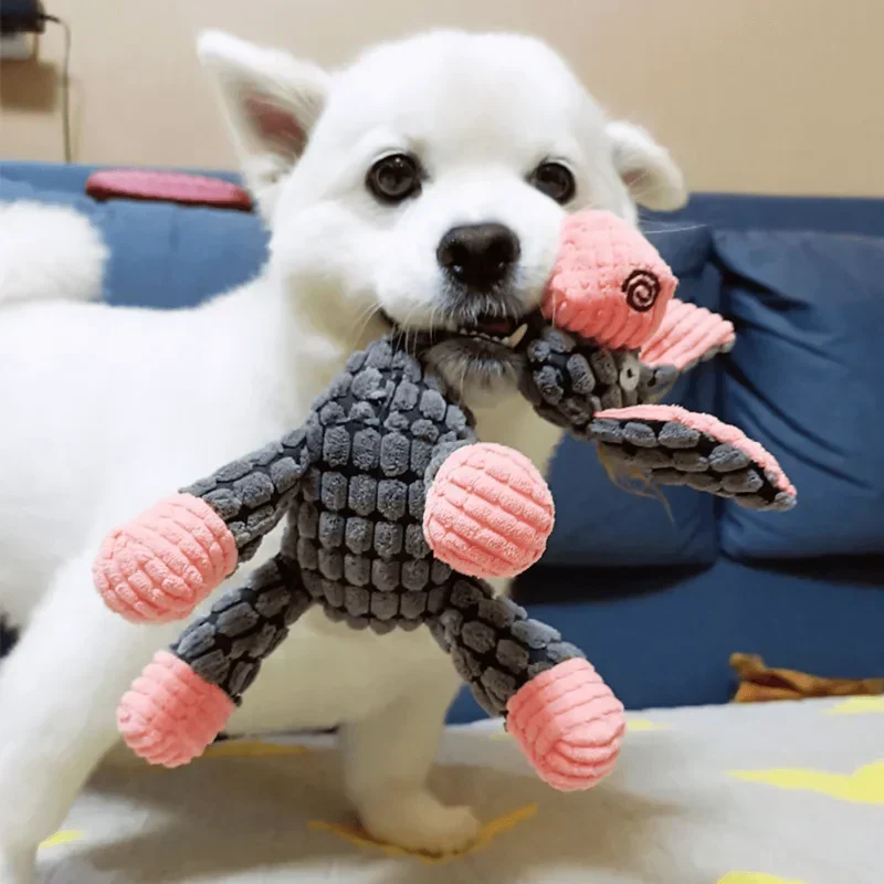 Robustes Hundespielzeug aus Plüsch | Bissfestes und langlebiges Design | Mehrere Modelle