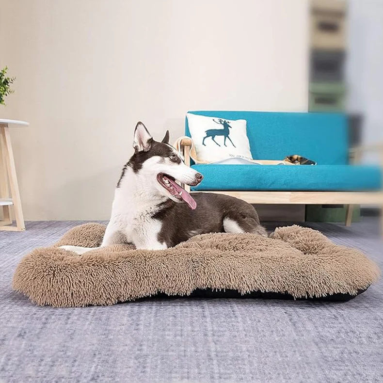 Orthopädisches, stützendes Hundebett
