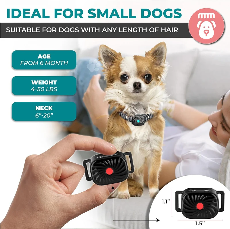 Antibell-Halsband für kleine Hunde