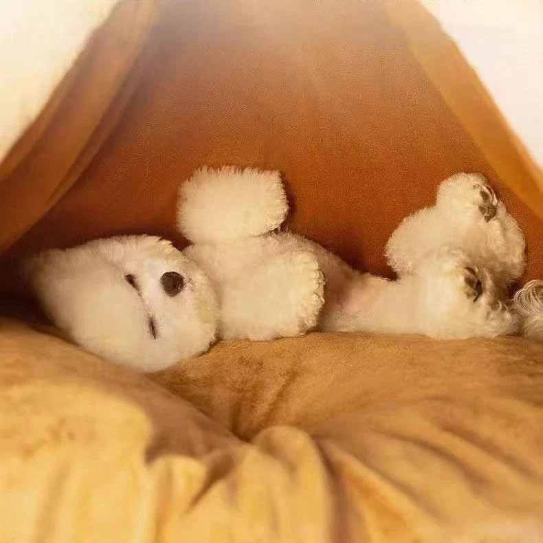 Gemütliches Zelt-Hundebett