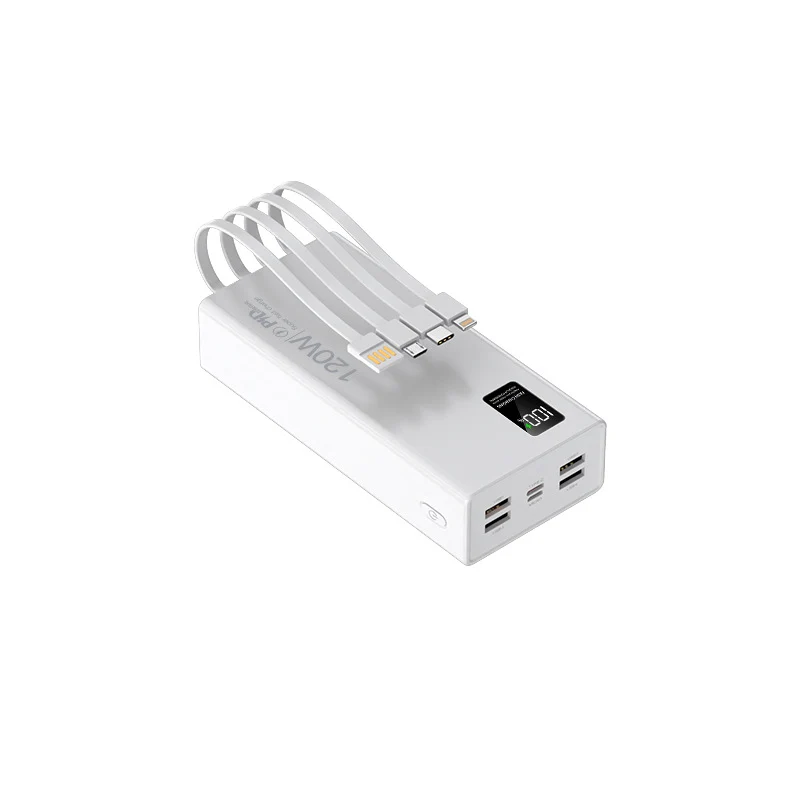 Universelle Powerbank Skanto