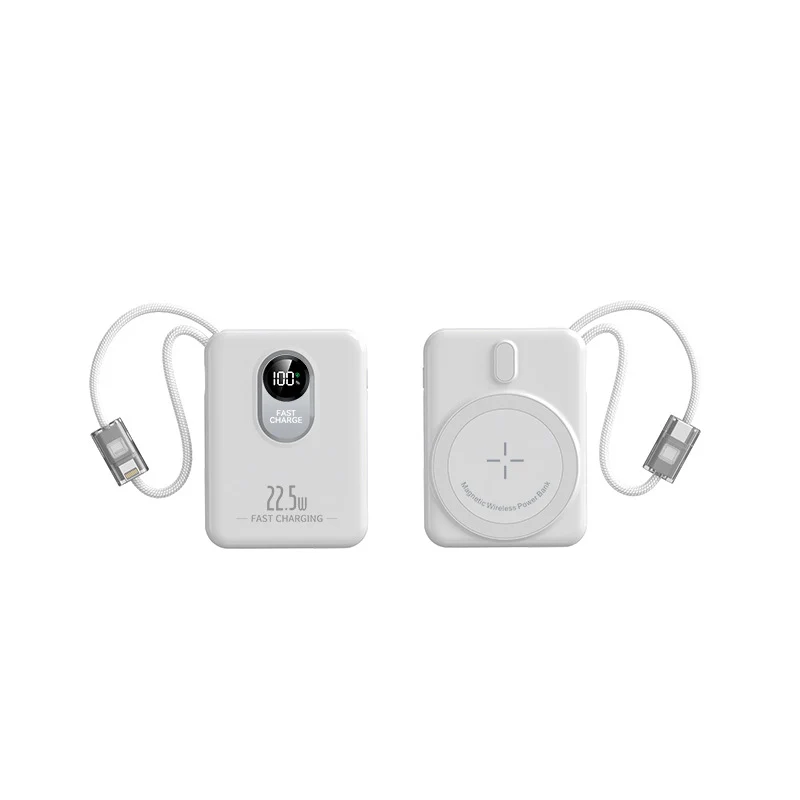 Powerbank für Skanto
