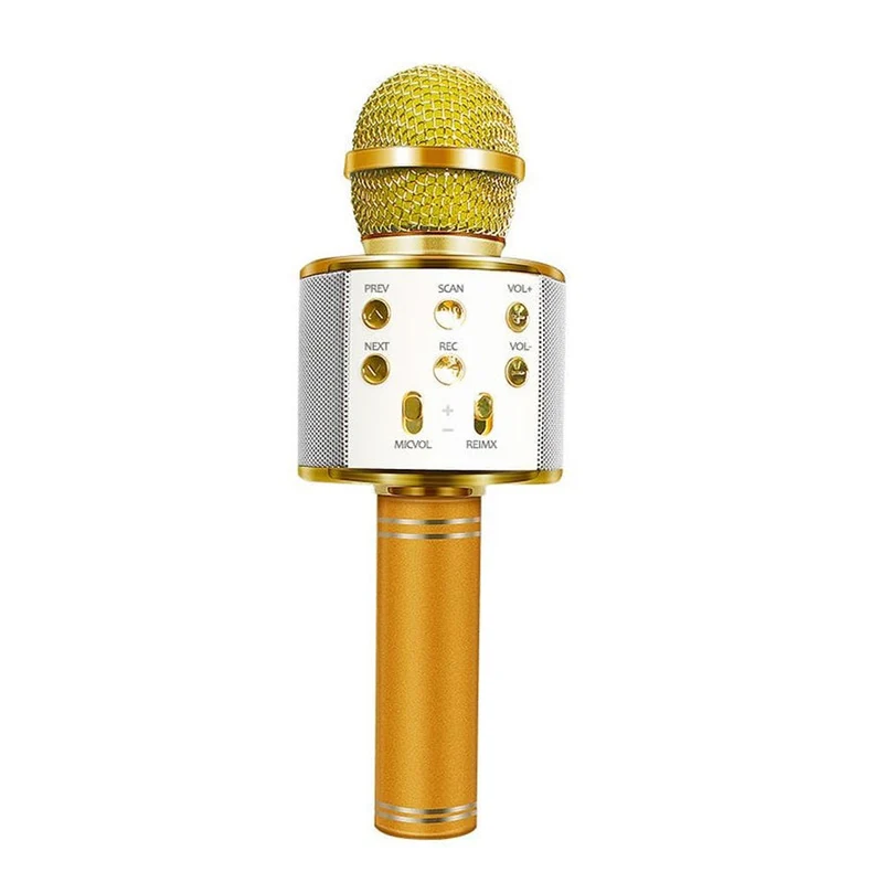 Skanto | Wiederaufladbares kabelloses Bluetooth Karaoke-Mikrofon