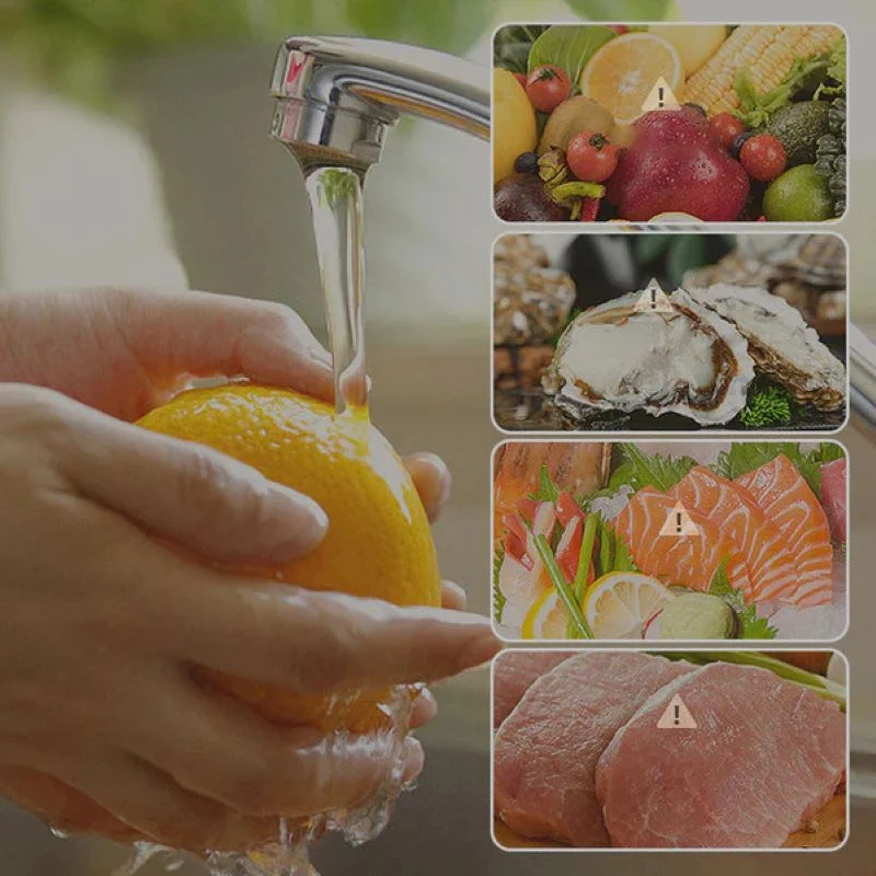Skanto | Hocheffizienter tragbarer Obst- und Gemüsespüler