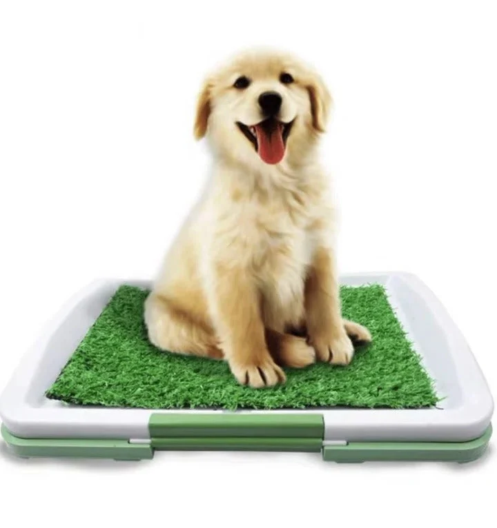 Hundetoilette mit Kunstrasen