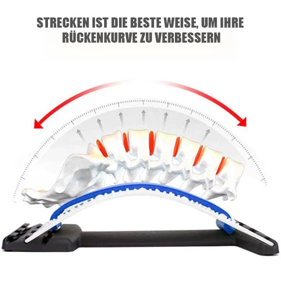 Rückenstrecker | Skanto