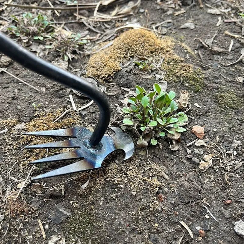 Skanto | WeedMaster™ – Ihr ultimatives Unkrautentfernungsgerät