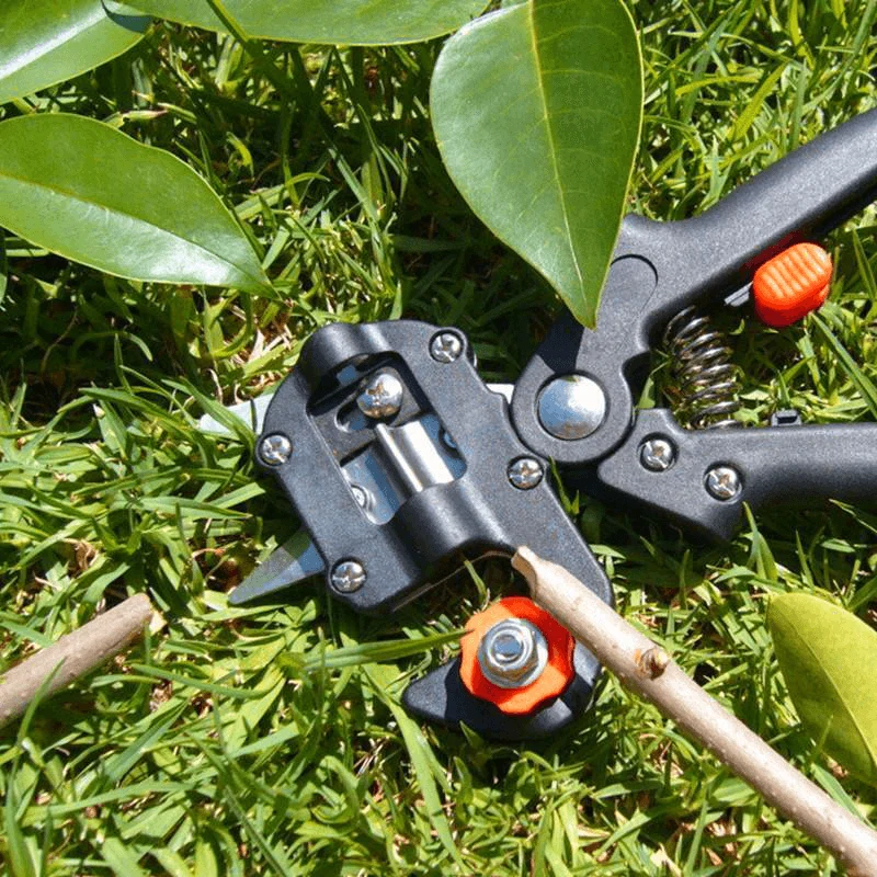Skanto | Professionelles Garten-Veredelungswerkzeug-Set