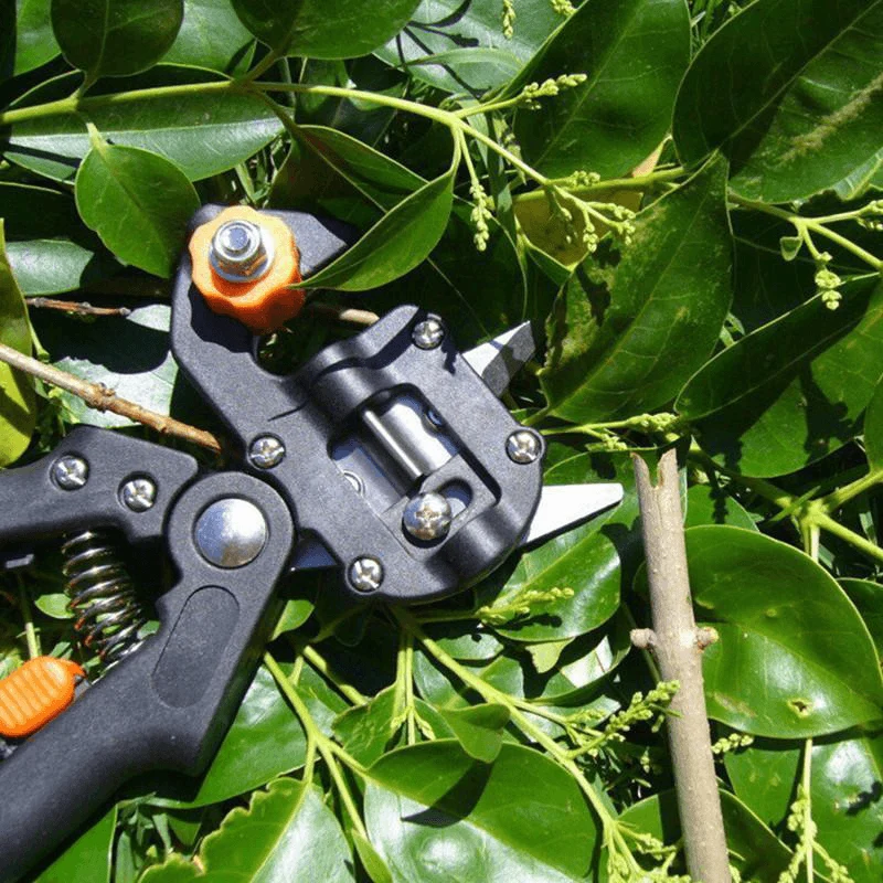 Skanto | Professionelles Garten-Veredelungswerkzeug-Set