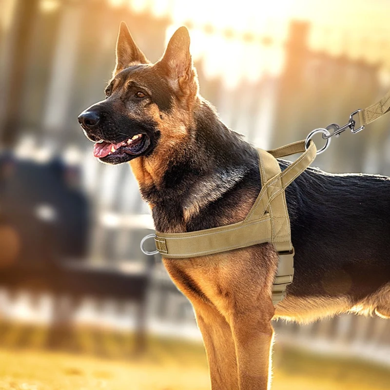 Skanto | Verstellbares reflektierendes Hundegeschirr mit Griff für alle Hunderassen