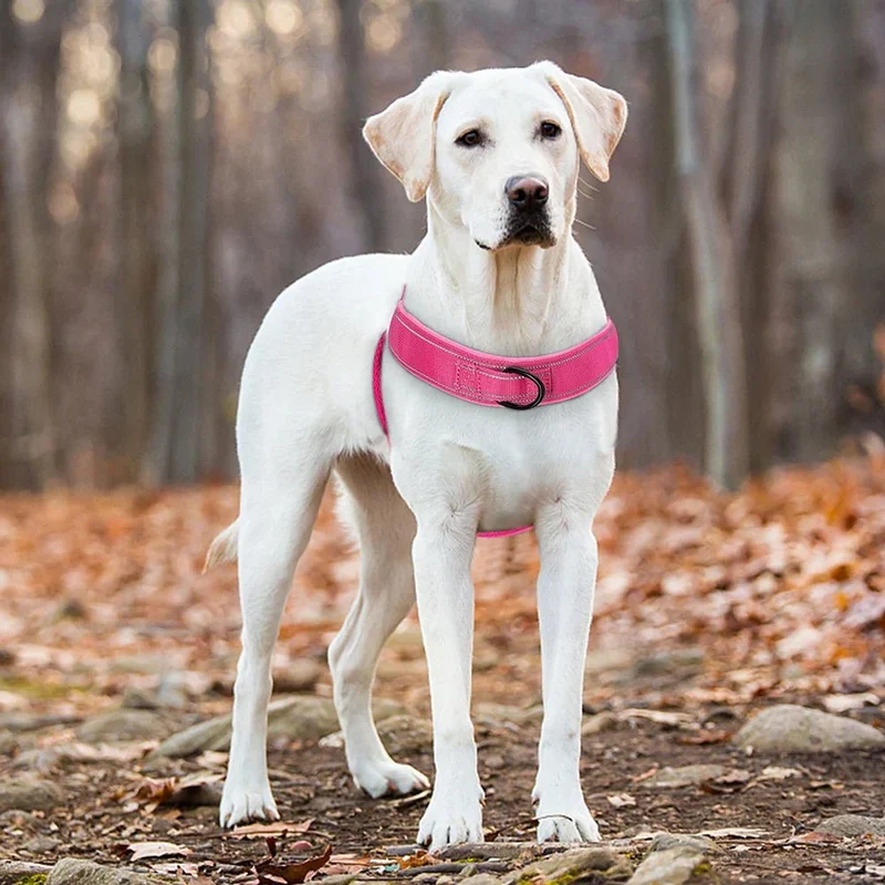 Skanto | Verstellbares reflektierendes Hundegeschirr mit Griff für alle Hunderassen