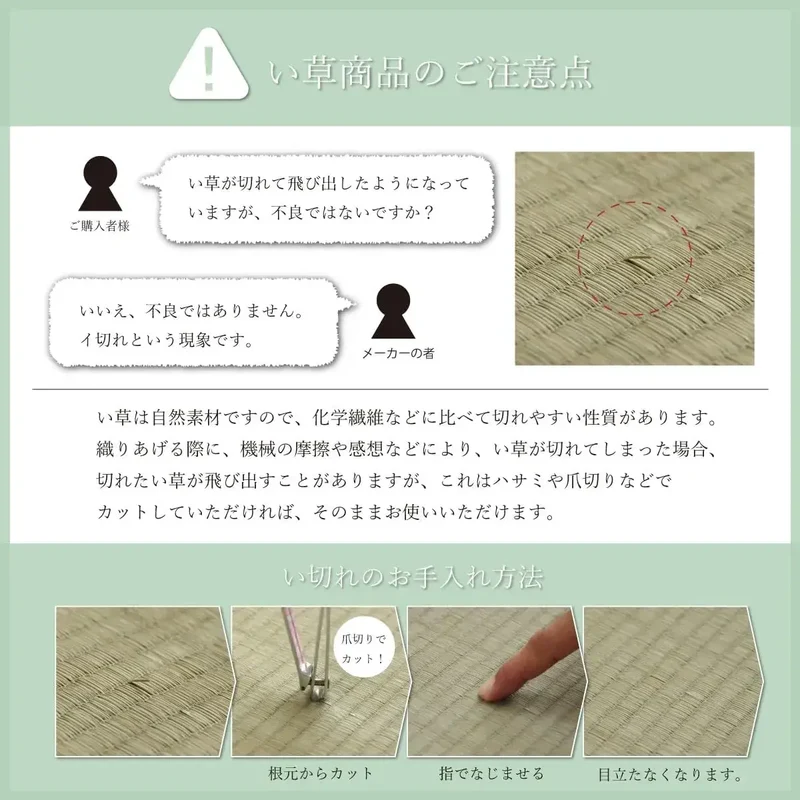 Ikehiko Corporation Grass Sheet Bed Pad Single Green Japan Mat
