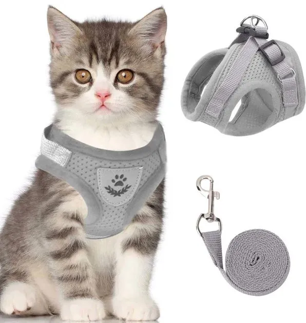 Katzengeschirr mit Leine – verstellbares Mesh mit Reflexstreifen