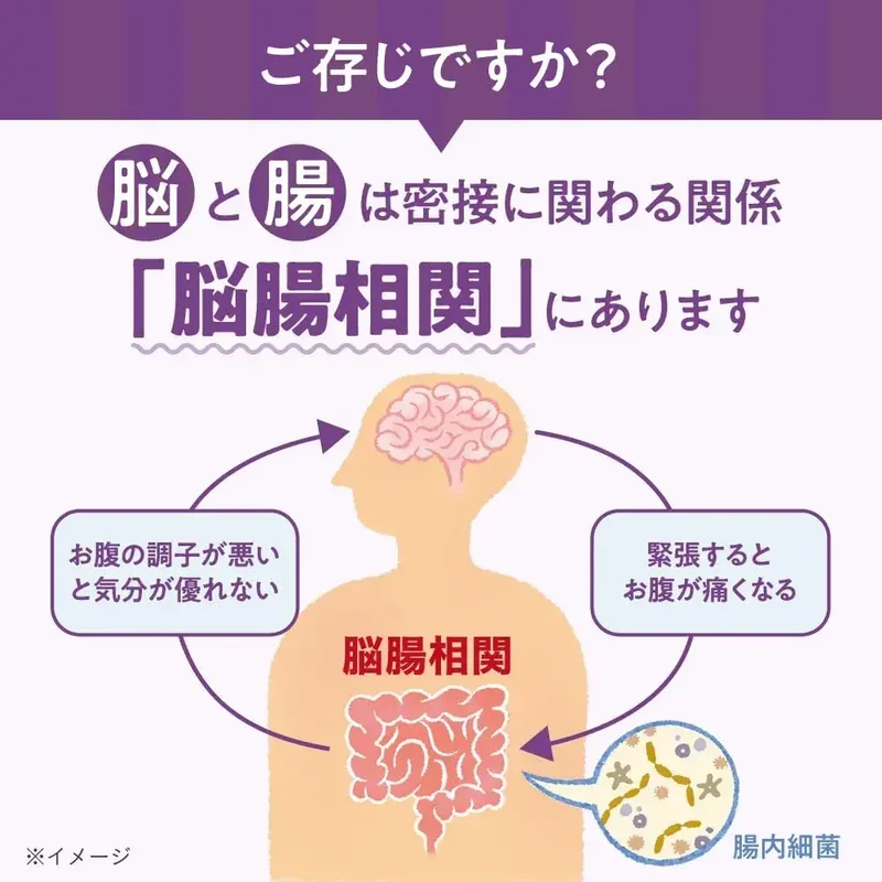 Morinaga Memory Bifidus Supplement for Cognitive Support