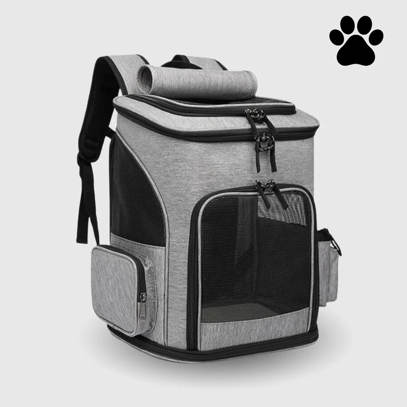 Katzenrucksack – Sichtfenster, Belüftung & Gepolsterte Gurte