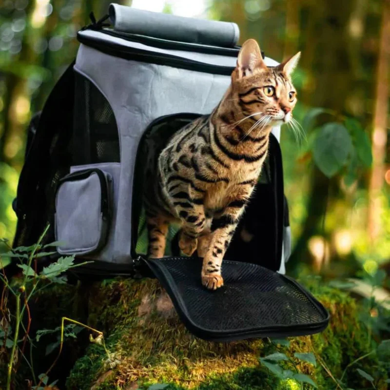 Katzenrucksack – Sichtfenster, Belüftung & Gepolsterte Gurte