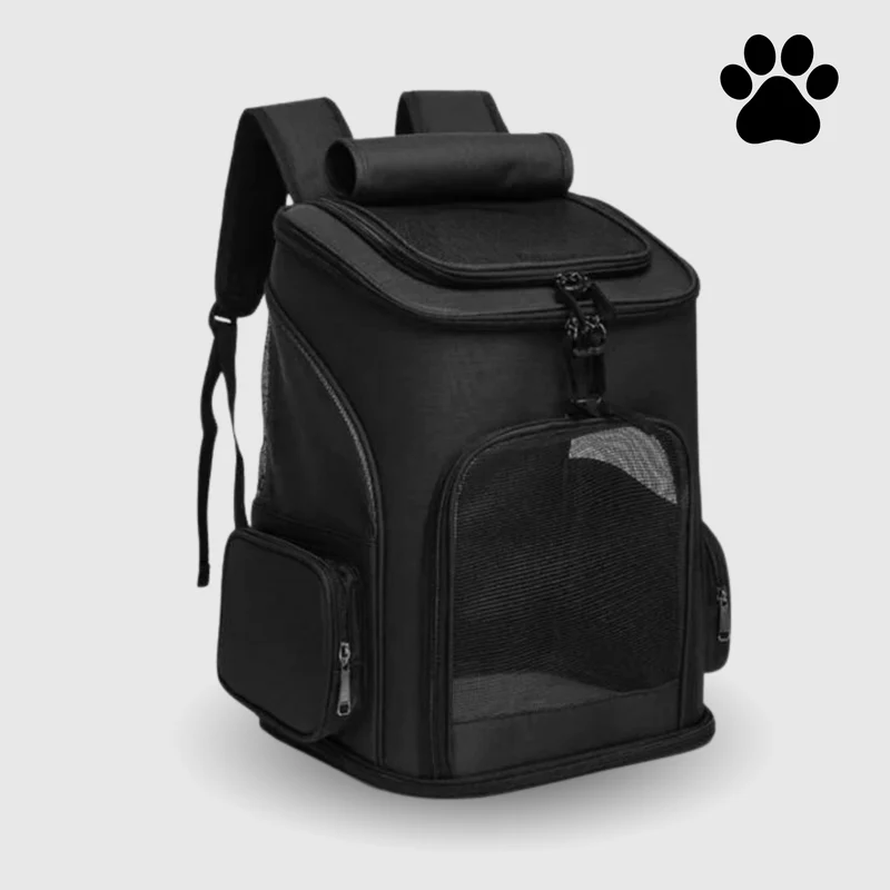 Katzenrucksack – Sichtfenster, Belüftung & Gepolsterte Gurte