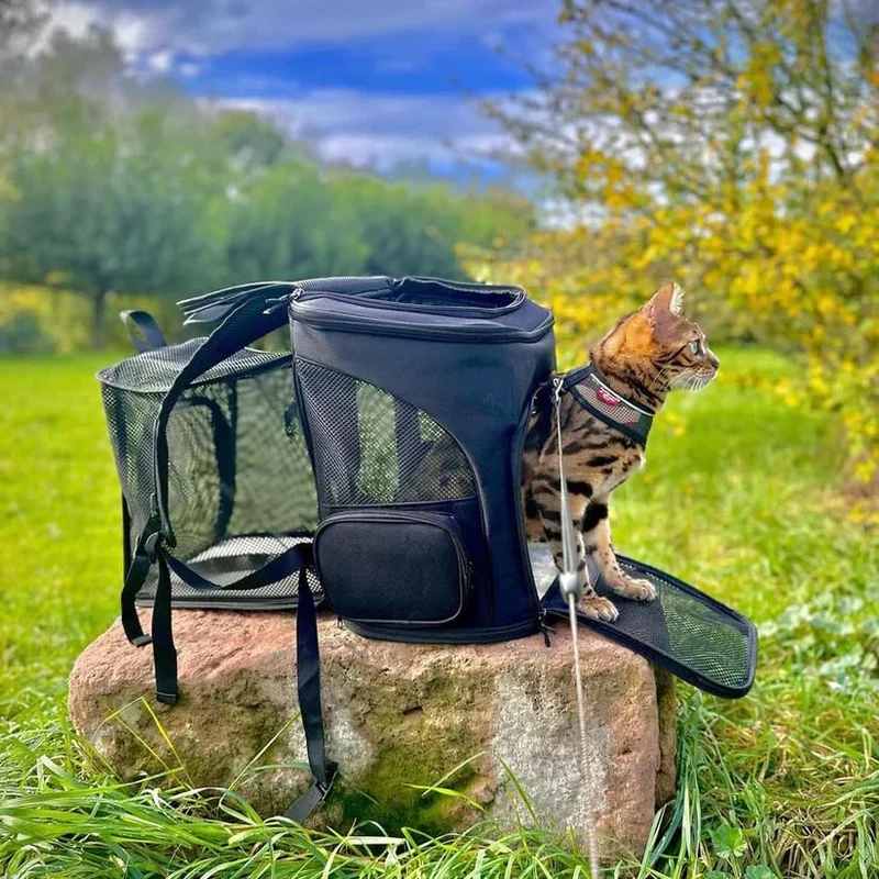 Katzenrucksack – Sichtfenster, Belüftung & Gepolsterte Gurte