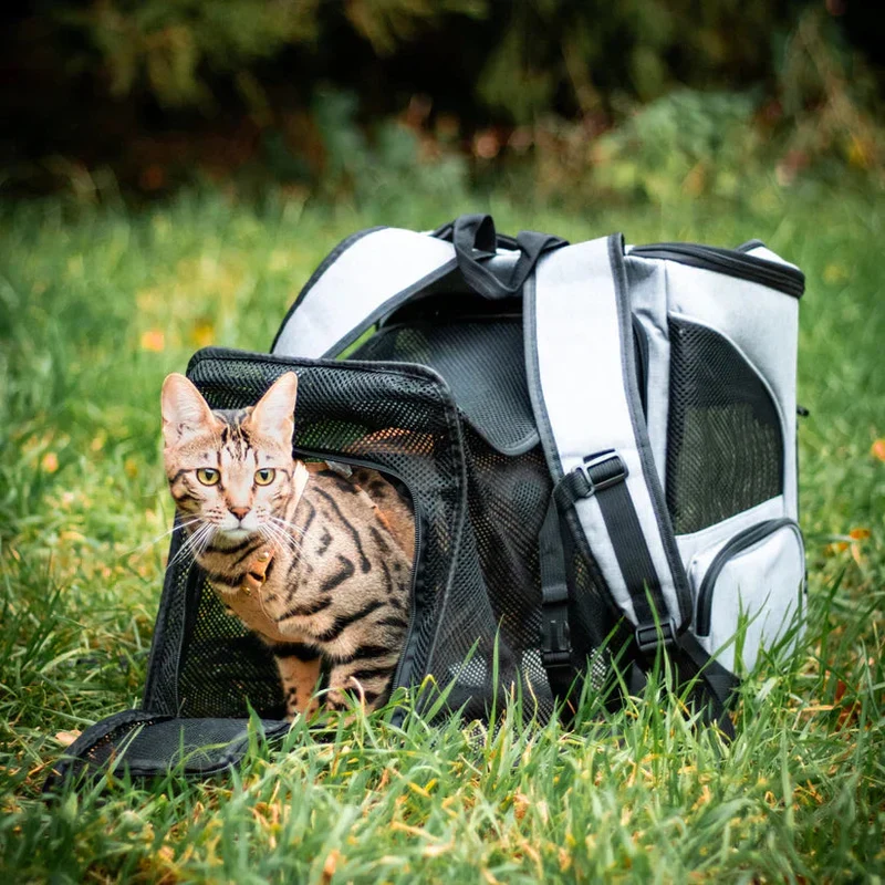Katzenrucksack – Sichtfenster, Belüftung & Gepolsterte Gurte