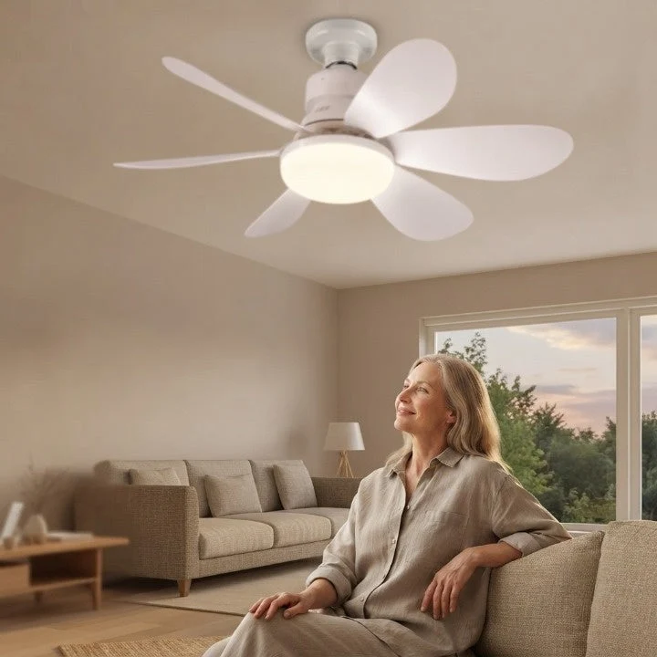 Deckenventilator mit Licht – Dimmbarer LED-Ventilator mit E27 und Fernbedienung