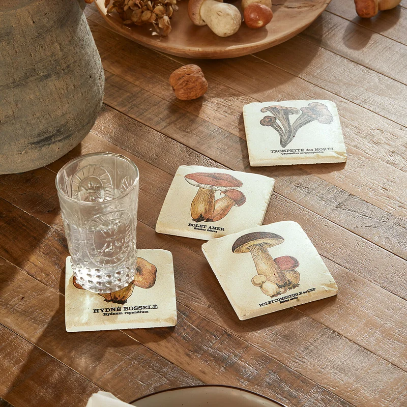 JANDORIA Untersetzer 4er-Set – Botanische Untersetzer Mit Vintage-Pilzmotiven