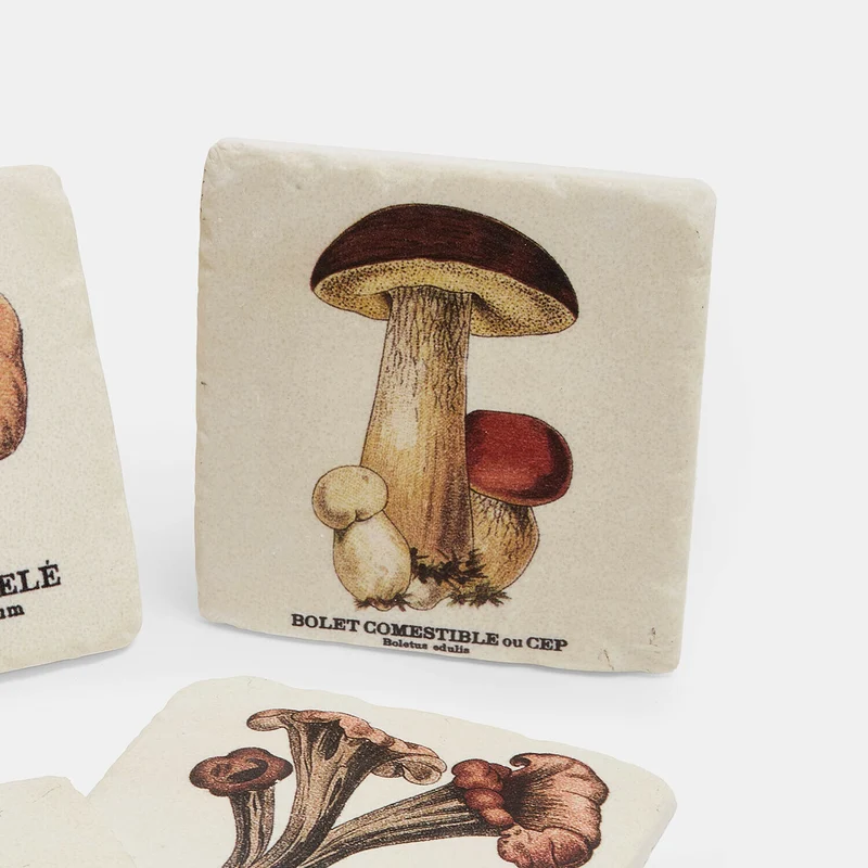 JANDORIA Untersetzer 4er-Set – Botanische Untersetzer Mit Vintage-Pilzmotiven
