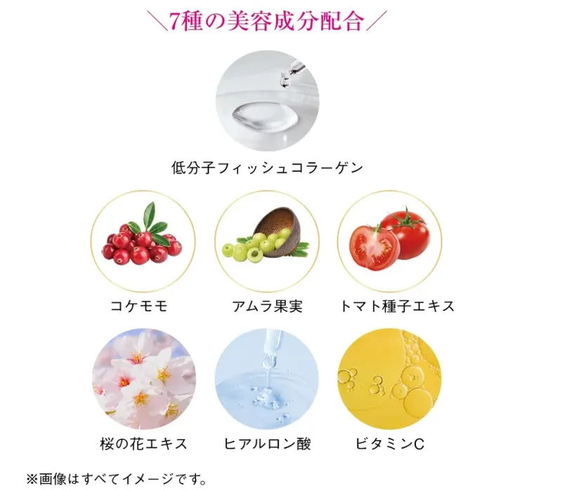 SHISEIDO The Collagen Supplements Powder 126g - Set of 2