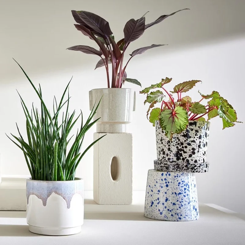 SPLASH Blumentopf mit Untersetzer – Künstlerischer Pflanztopf mit modernem Sprenkel-Design