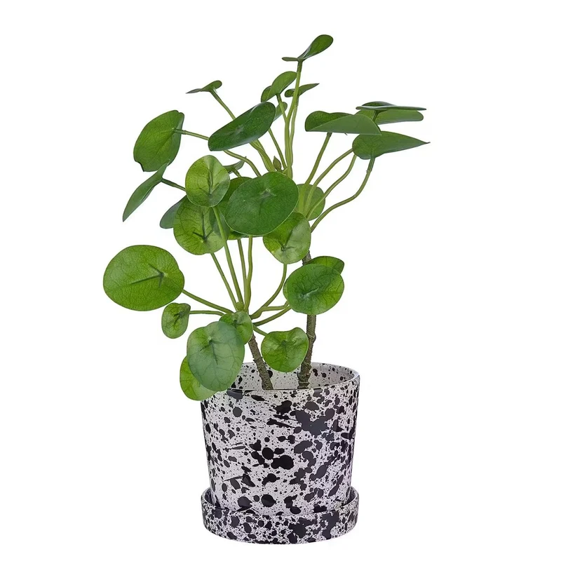 SPLASH Blumentopf mit Untersetzer – Künstlerischer Pflanztopf mit modernem Sprenkel-Design