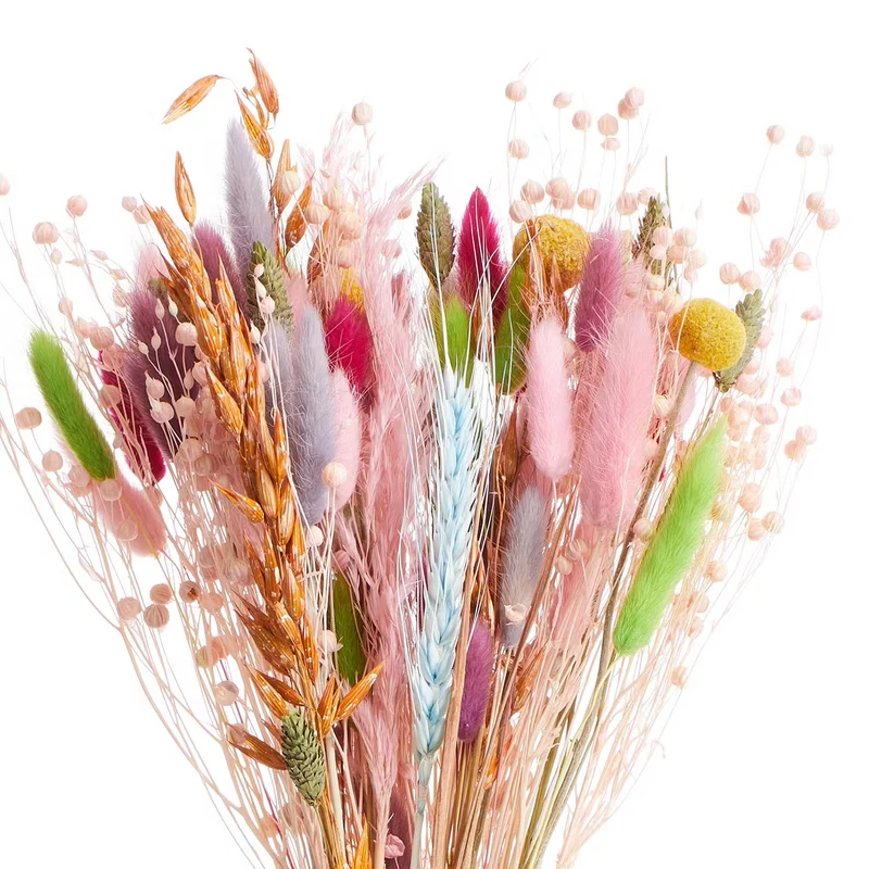 FLOWER MARKET Trockenblumen Blumenstrauß – Natürliches Deko-Arrangement Aus Getrockneten Blüten