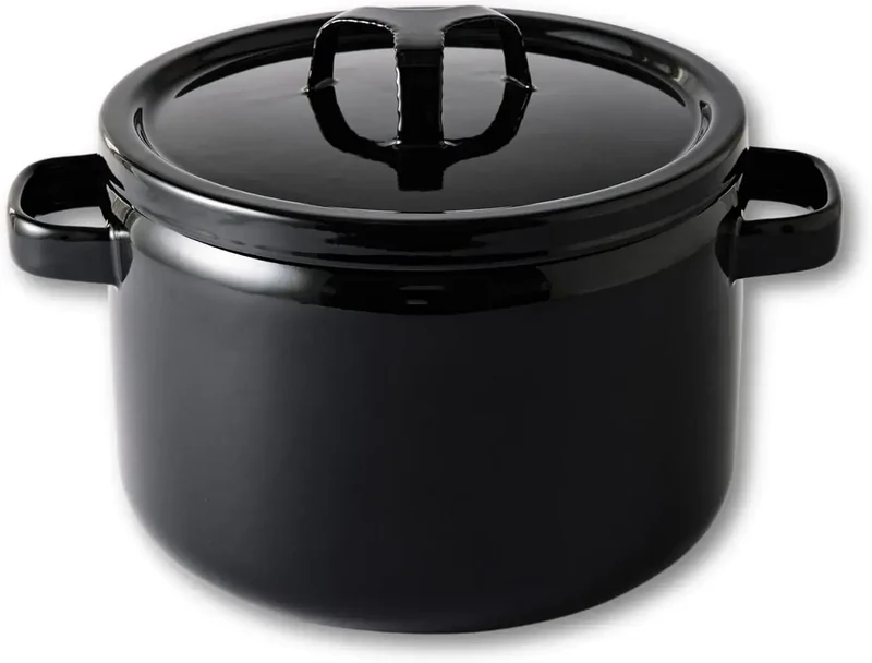 Takumi Japan Enameled Cast Iron Pot, Dual-Handle, 3L IH Compatible