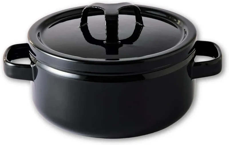 Takumi Japan Enameled Cast Iron Pot, Dual-Handle, 3L IH Compatible