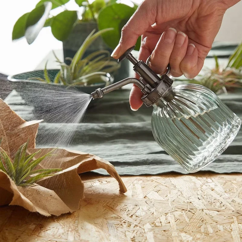 BOTANIC Pflanzensprüher – Elegante Glassprühflasche Für Gesunde Pflanzen